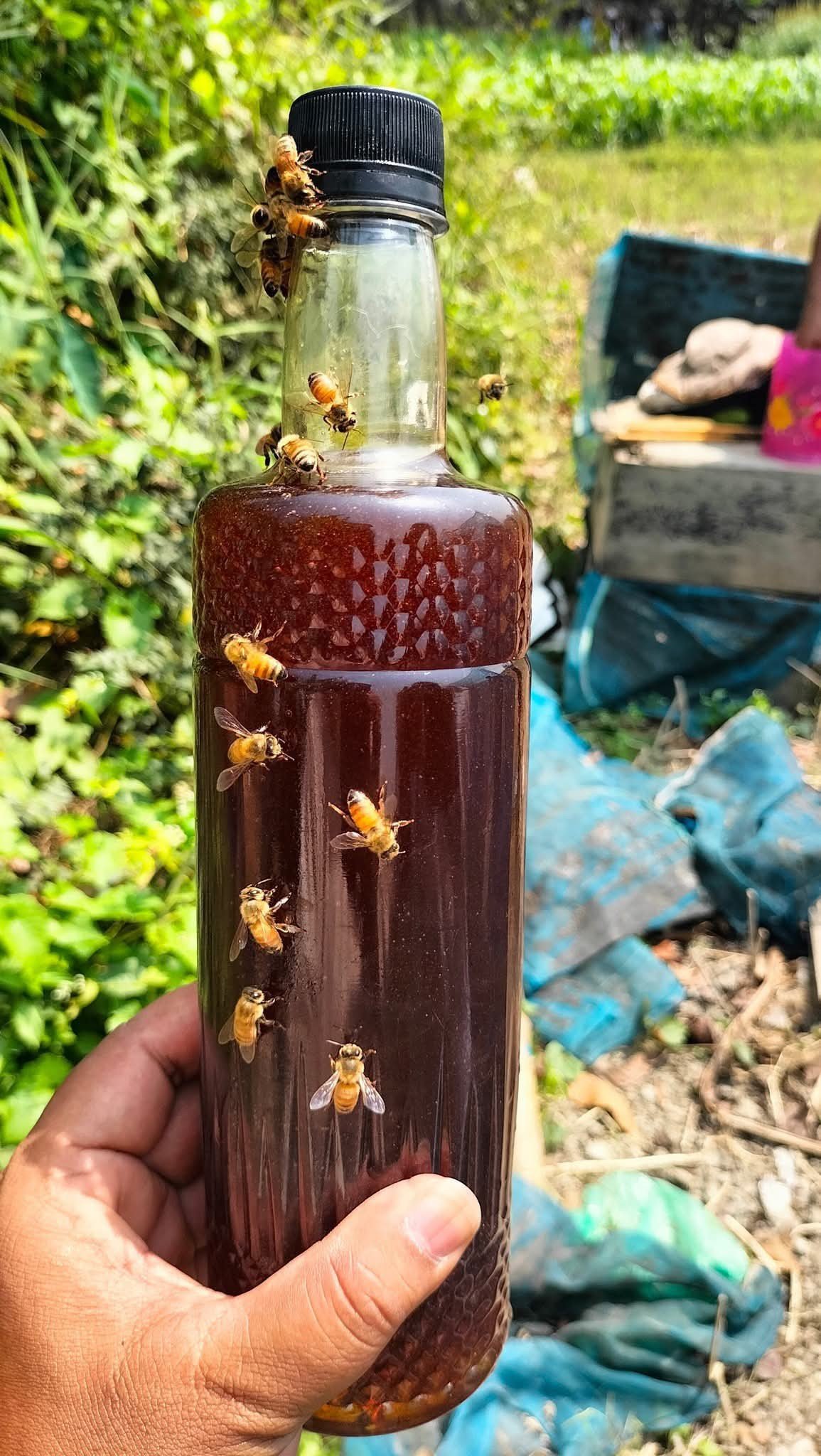 578799555_122103706029102308_219649603997095900_n